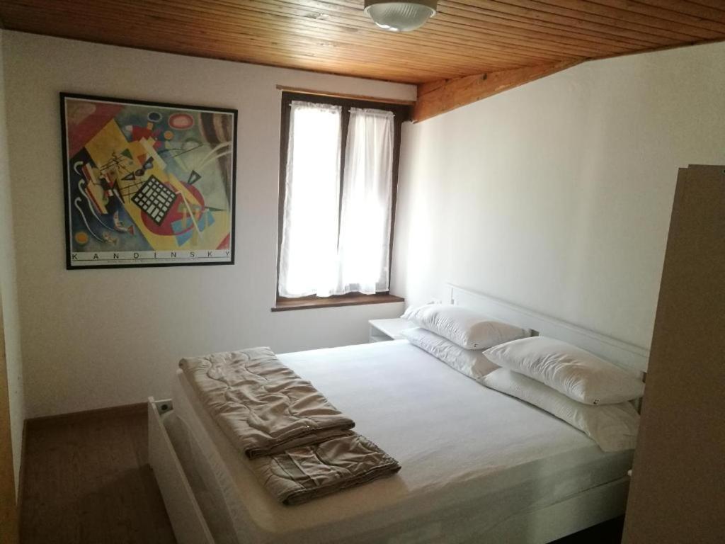 Casa Renzo - Dolomiti - Trentino Apartment Mezzano Ngoại thất bức ảnh