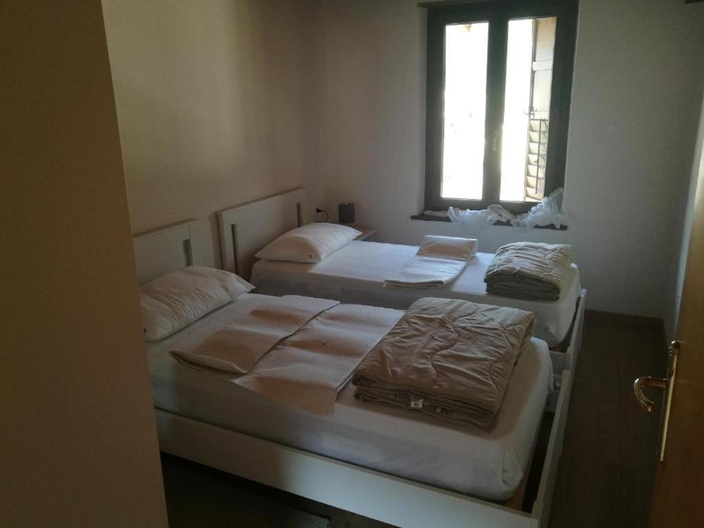 Casa Renzo - Dolomiti - Trentino Apartment Mezzano Ngoại thất bức ảnh